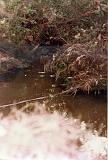 COE-21 1980-1983 010